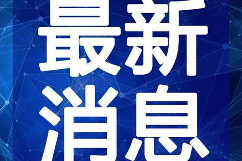 最新军需爆料新闻视频大全,视频大全深度解析