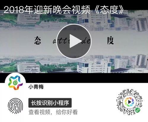 态度视频,揭秘当代年轻人的精神面貌与价值观