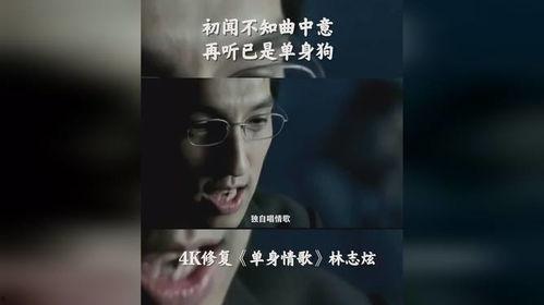 单身情歌在线播放,旋律中的孤独共鸣