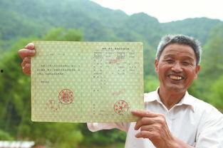 李桂林最新爆料,揭秘事件背后惊人真相