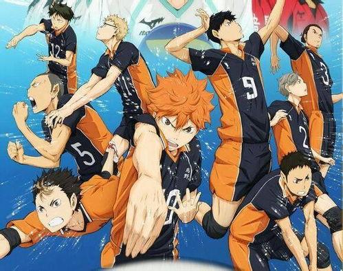排球少年第4季免费观看,热血再燃，免费观战，青春对决巅峰