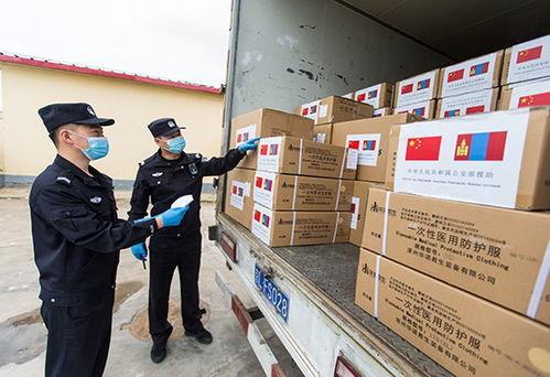 检查站在线播放免费,免费在线播放，揭秘安全防线背后的故事