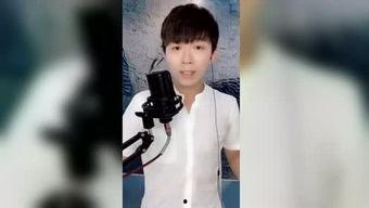 明星淼,闪耀舞台，魅力无限