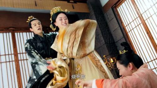 白发41在线播放,揭秘剧情高潮，在线观看精彩瞬间