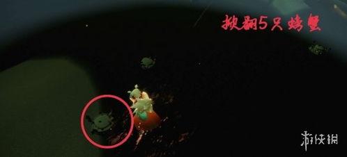 光遇3.18最新爆料,神秘新图鉴、新活动揭秘，探索未知领域！