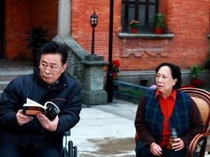 免费新上门女婿手机观看,浪漫邂逅，甜蜜生活全景呈现