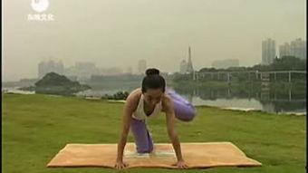 日本瑜伽猥琐视频,猥琐内容引发争议